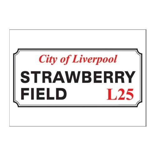 Magic Moments Postcard: Strawberry Field (Standard) 115024