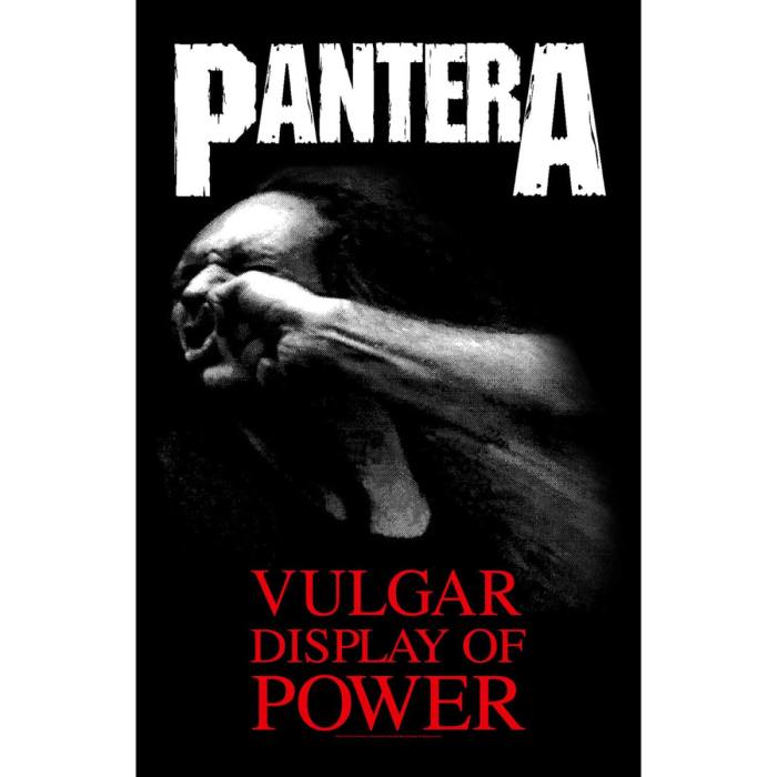 Pantera Trzalica: Vulgar Display Of Power 115676