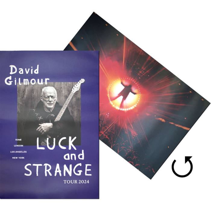 David Gilmour Poster: Luck & Strange (Ex-Tour) 203363