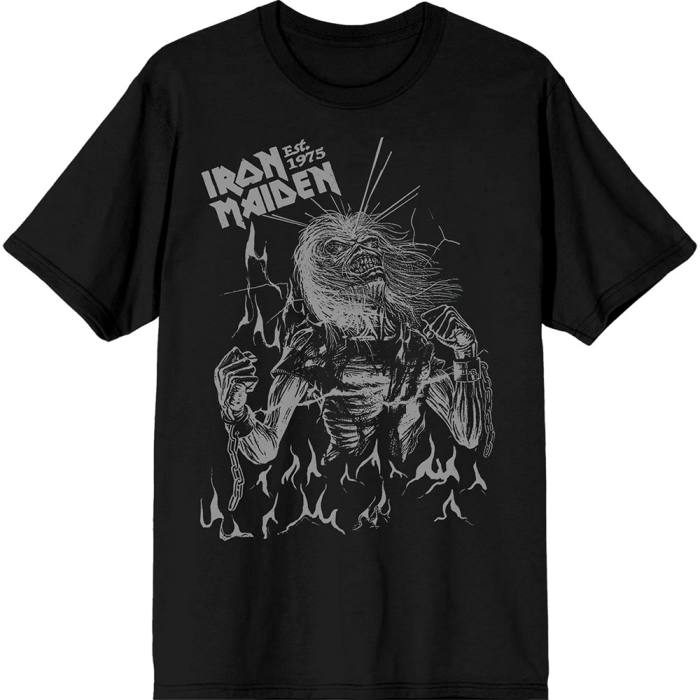 Iron Maiden Unisex T-Shirt: Est. 1975 Life After Death Flames (črna) 221349